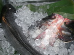 特色(sè)海鲜