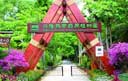 &#27431;&#23453;&#32593;&#39029;&#29256;&#30331;&#24405;&#20837;&#21475;&#45;&#27431;&#23453;&#111;&#110;&#108;&#105;&#110;&#101;&#40;&#20013;&#22269;&#41;